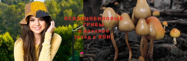 кристаллы Абаза