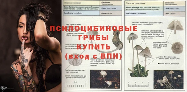 кокс Алексин
