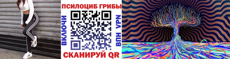 Псилоцибиновые грибы Psilocybe  где купить наркотик  Зверево 
